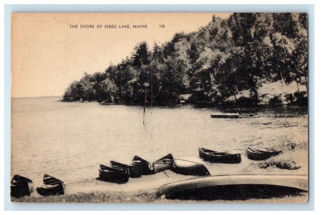 c1940's Scene of Canoe Boats in The Shore of Sebec Lake Maine ME Postcard