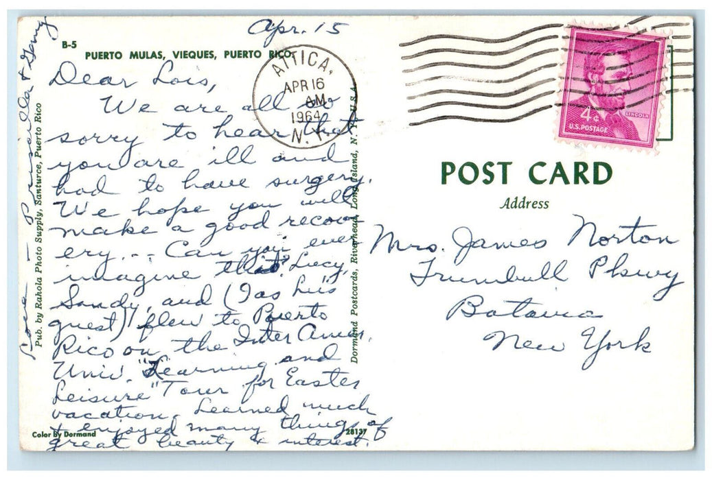 1964 Steamboat and River Scene Puerto Mulas Vieques Puerto Rico Vintage Postcard