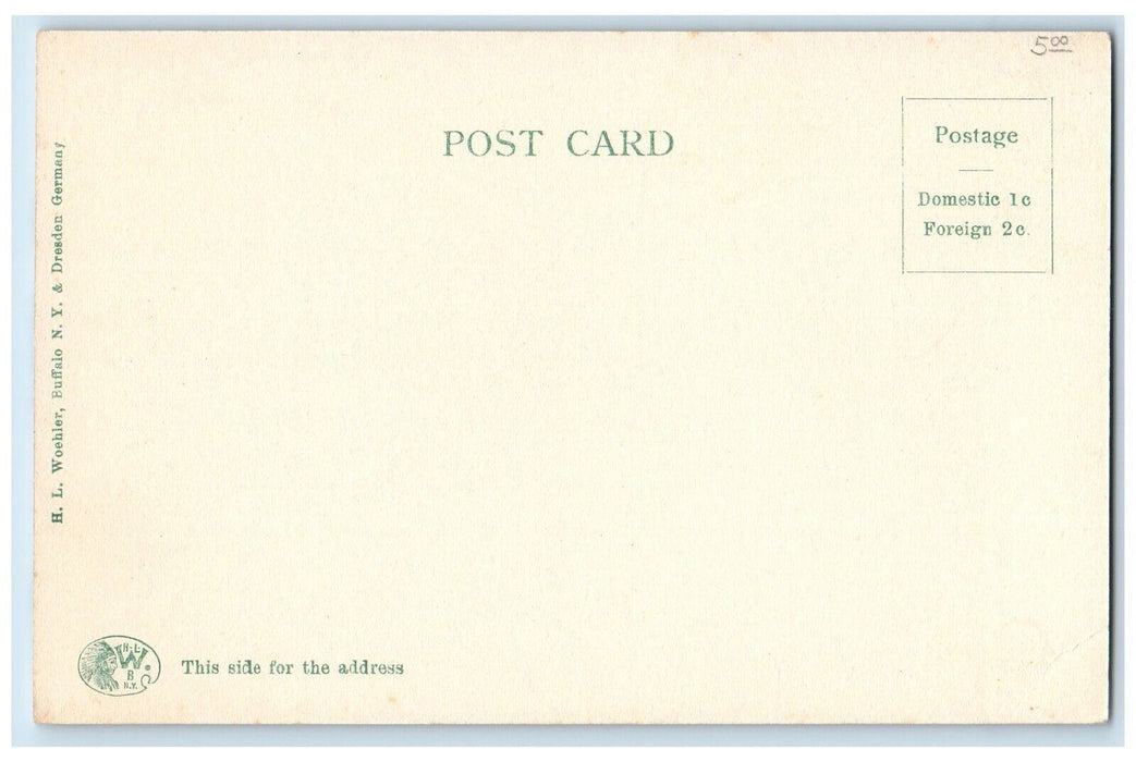 c1905 At The Front Canon Horse And Buggy Buffalo New York NY Antique Postcard