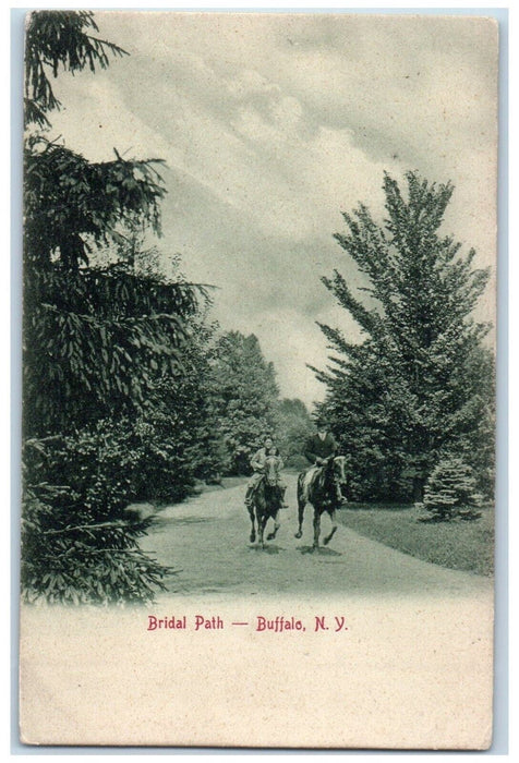 c1905 Bridal Path Buffalo New York NY, Boys Riding Horse Antique Postcard