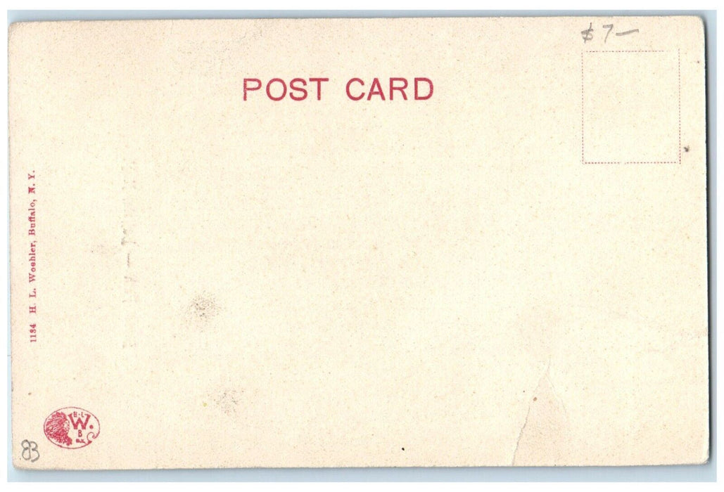 c1905 Bridal Path Buffalo New York NY, Boys Riding Horse Antique Postcard