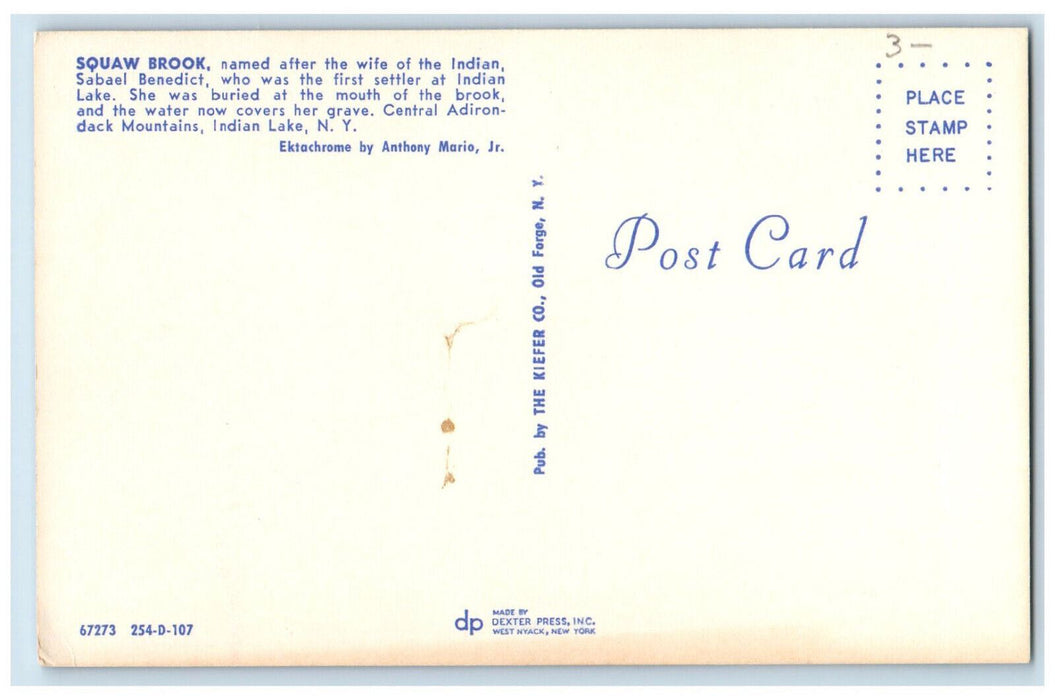 c1960's Squaw Brook, Central Adirondack Mountains Indian Lake NY Postcard