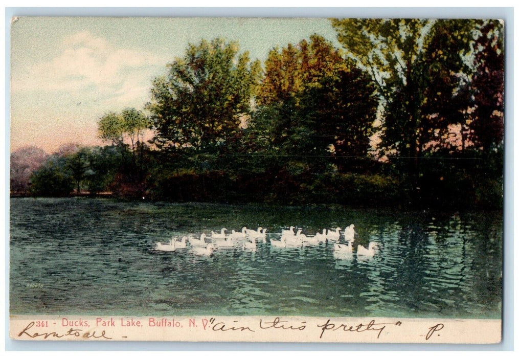 1908 View Of Ducks Park Lake Buffalo New York NY Posted Antique Postcard