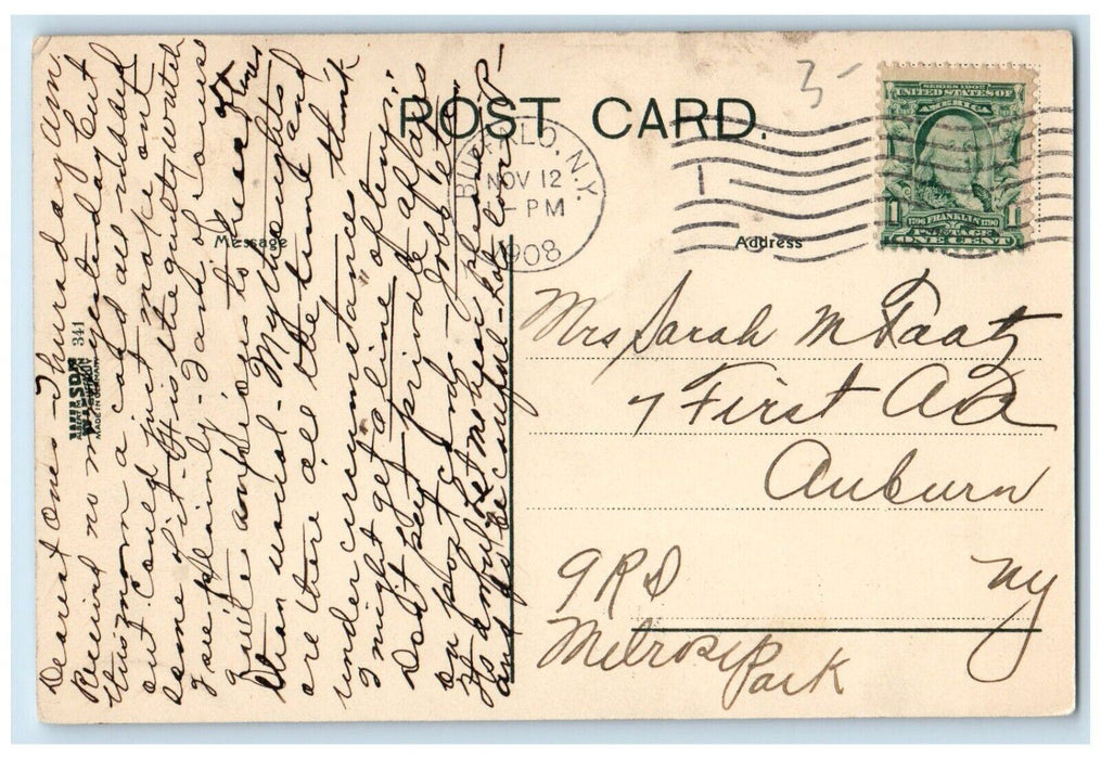 1908 View Of Ducks Park Lake Buffalo New York NY Posted Antique Postcard