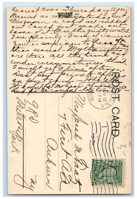 1908 View Of Ducks Park Lake Buffalo New York NY Posted Antique Postcard