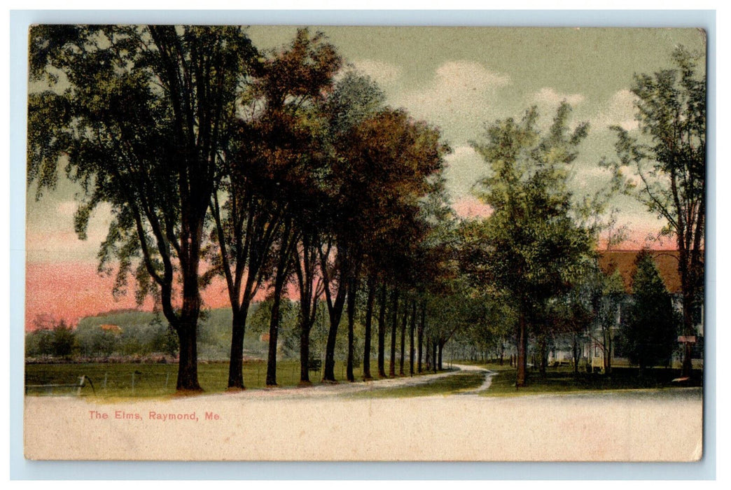 c1905 Little Way Scene at The Elms Raymond Maine ME Antique Unposted Postcard