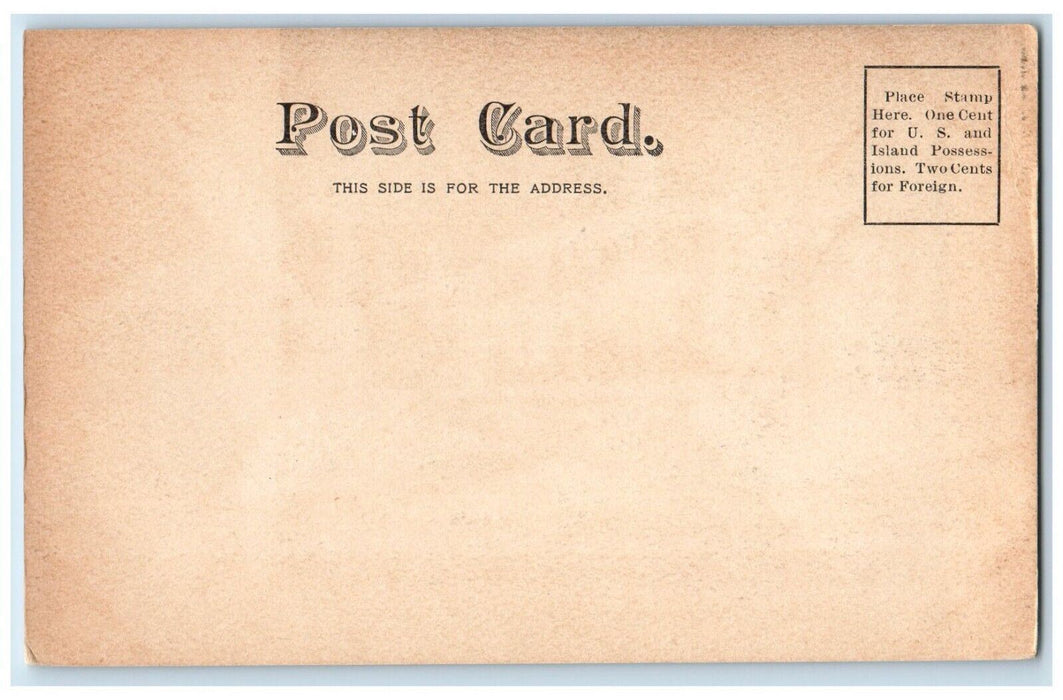 c1905's Interior Old Town Hall Hillsborough Center Burned New Hampshire Postcard