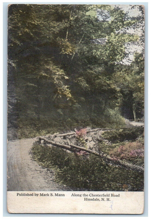 c1910's Along the Chesterfield Road Hinsdale New Hampshire NH Vintage Postcard