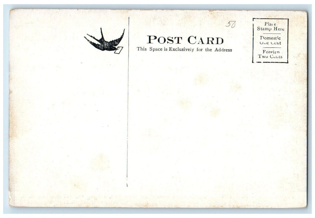 c1910's Rapids Connecticut River Dam Vernon Hinsdale New Hampshire NH Postcard