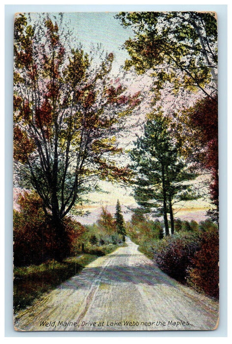 1908 Weld Maine ME, Drive At Lake Webb Near The Maples Posted Antique Postcard