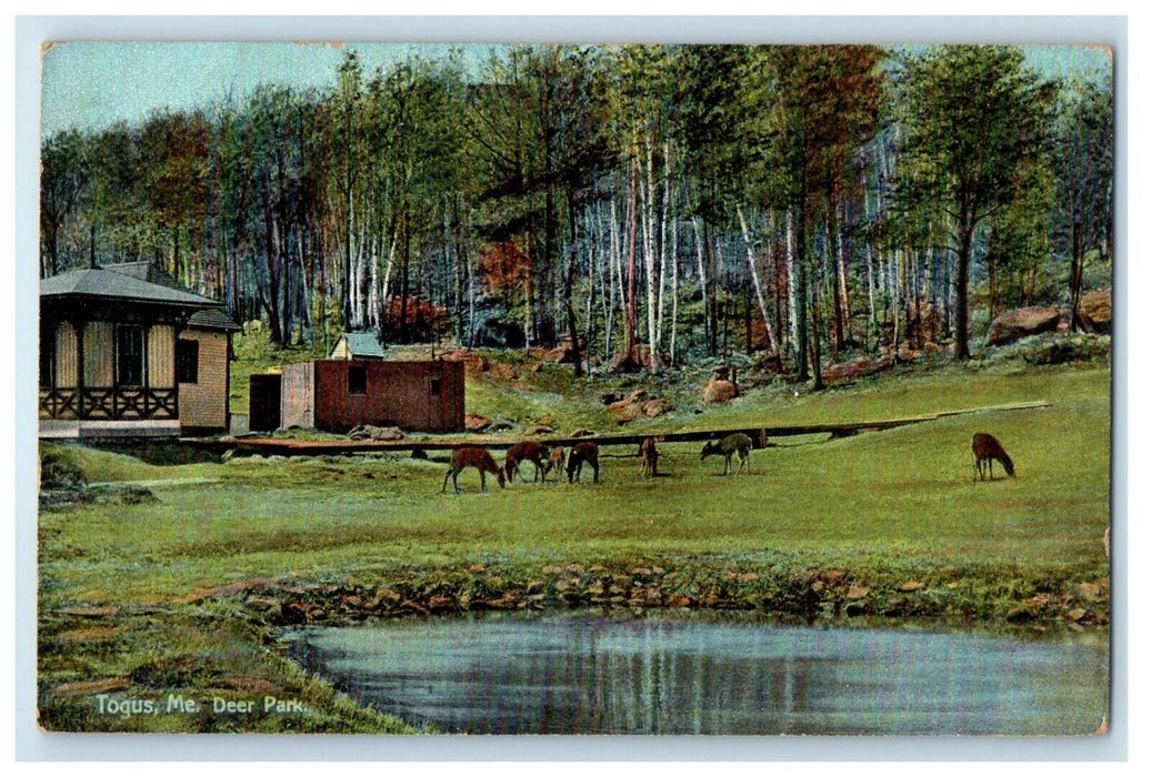 1908 A View Of Deer Park House Pond Togus Maine ME, Posted Antique Postcard