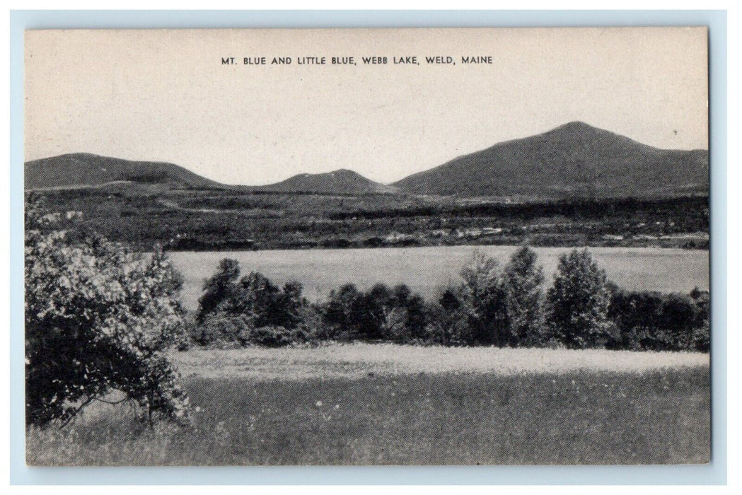 c1940's Mt. Blue And Little Blue Webb Lake Weld Maine ME Vintage Postcard