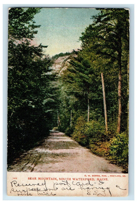 1908 Bear Mountain Dirt Road South Waterford Maine ME Posted Antique Postcard