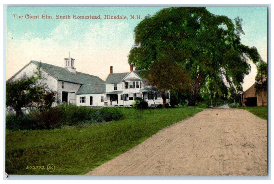 c1910's Giant Elm Smith Homestead Hinsdale New Hampshire NH Vintage Postcard