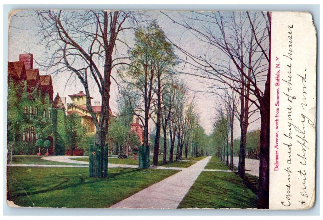 1910 Delaware Avenue North From Summer Buffalo New York NY Antique Postcard