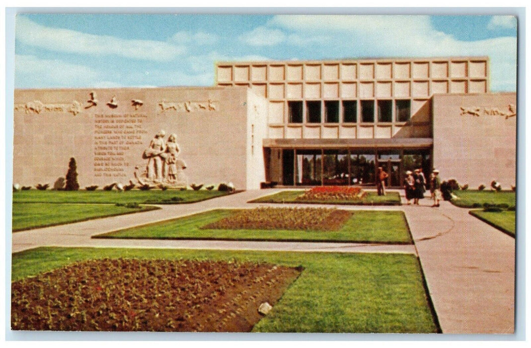 1960 View Of Museum Of Natural History Regina Saskatchewan Canada Postcard