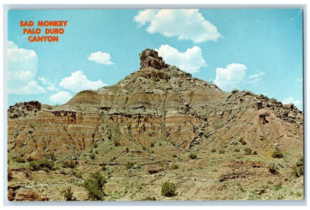 c1950's Sad Monkey Palo Duro Canyon Near Amarillo Texas TX Vintage Postcard