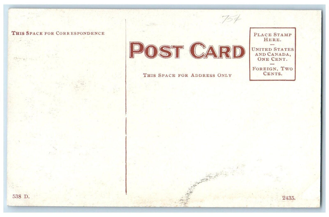 c1910's Polar Bear Zoo Buffalo New York NY, Animals Unposted Antique Postcard