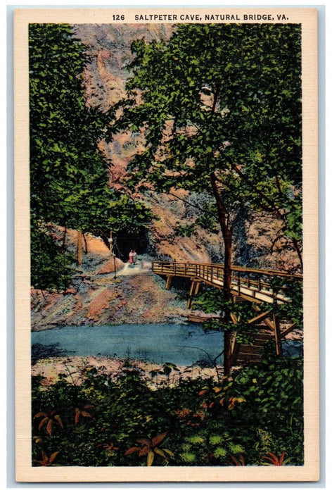 c1950's Saltpeter Cave, Natural Bridge, Virginia VA Vintage Postcard