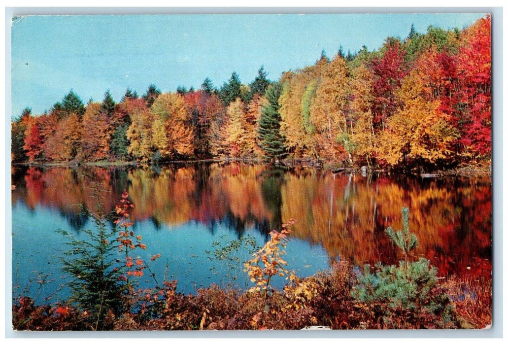 1960 Beautilful View Of Shangri La Villa Minden Ontario Canada Vintage Postcard