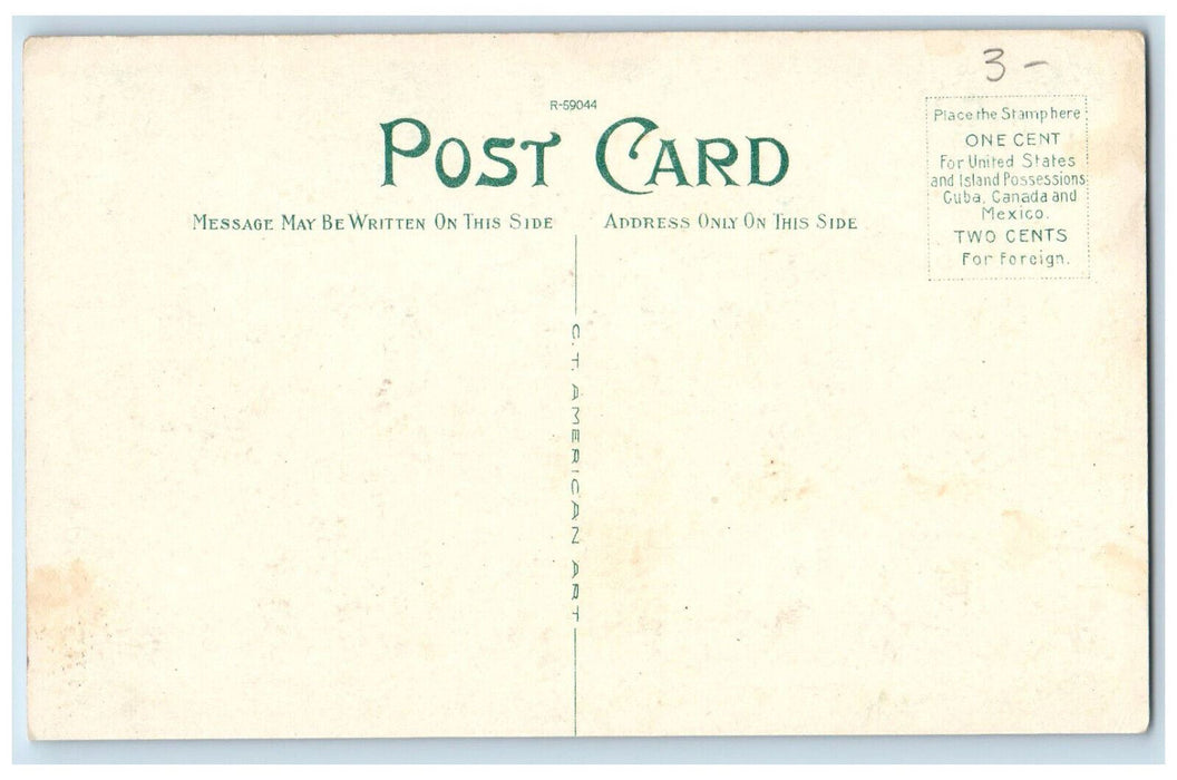 c1920's New Administration Building U.P.H Newberry Michigan MI Postcard