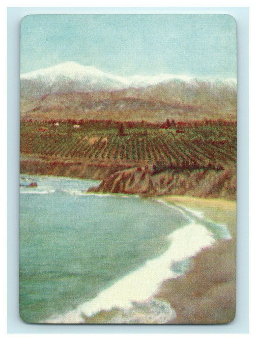 Jack of Spades Playing Card Airplane View Long Beach California CA Postcard Like