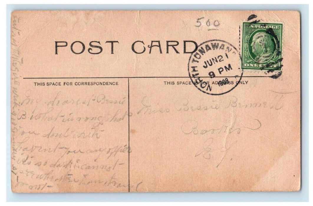 1909 McKinley Assassination Poem Roses Remembrance Buffalo New York NY Postcard