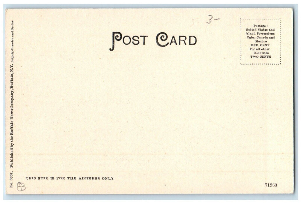 c1905 Harbor View Steamer Ship Buffalo New York NY Unposted Antique Postcard