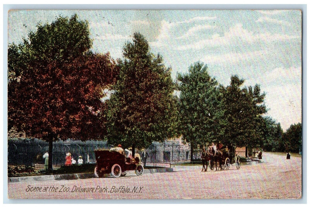 1907 Scene At The Zoo Delaware Park Cars Buffalo New York NY Antique Postcard