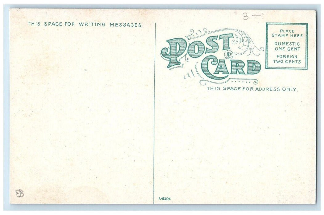 c1910's Steamer Ship Eastern States Buffalo New York NY Antique Postcard