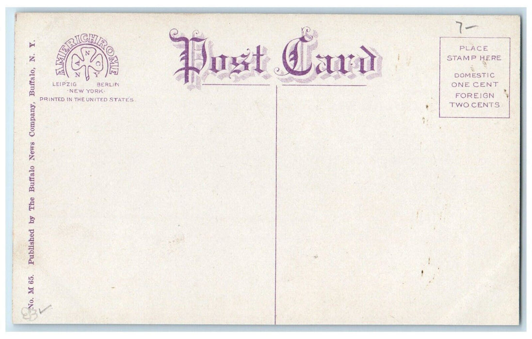 c1910's W. S. Steamer Ship Hawk Buffalo New York NY Unposted Antique Postcard