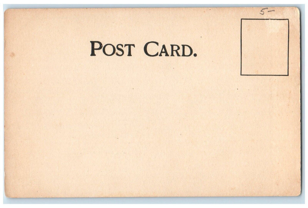 c1905 The Mouth of Buffalo Harbor Steamer Ship Boat Buffalo New York NY Postcard