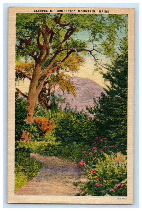 1943 Glimpse Of Doubletop Mountain Scene View Maine ME Posted Vintage Postcard