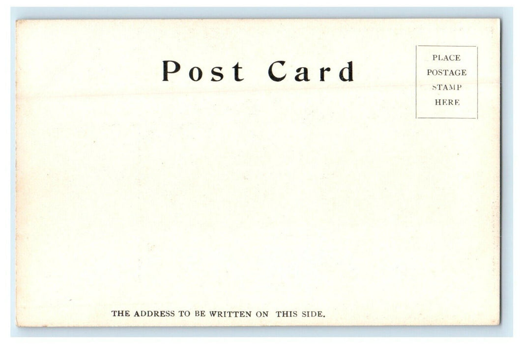 c1905 Mary Lyon Hall Mt. Holyoke College South Hadley Massachusetts MA Postcard