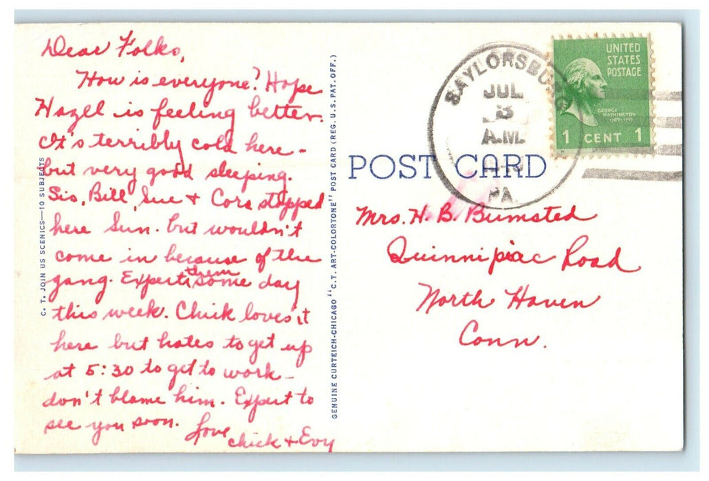 1940 Dear With Bear Behind Girl Short Skirt Comic Funny Saylorsburg PA Postcard