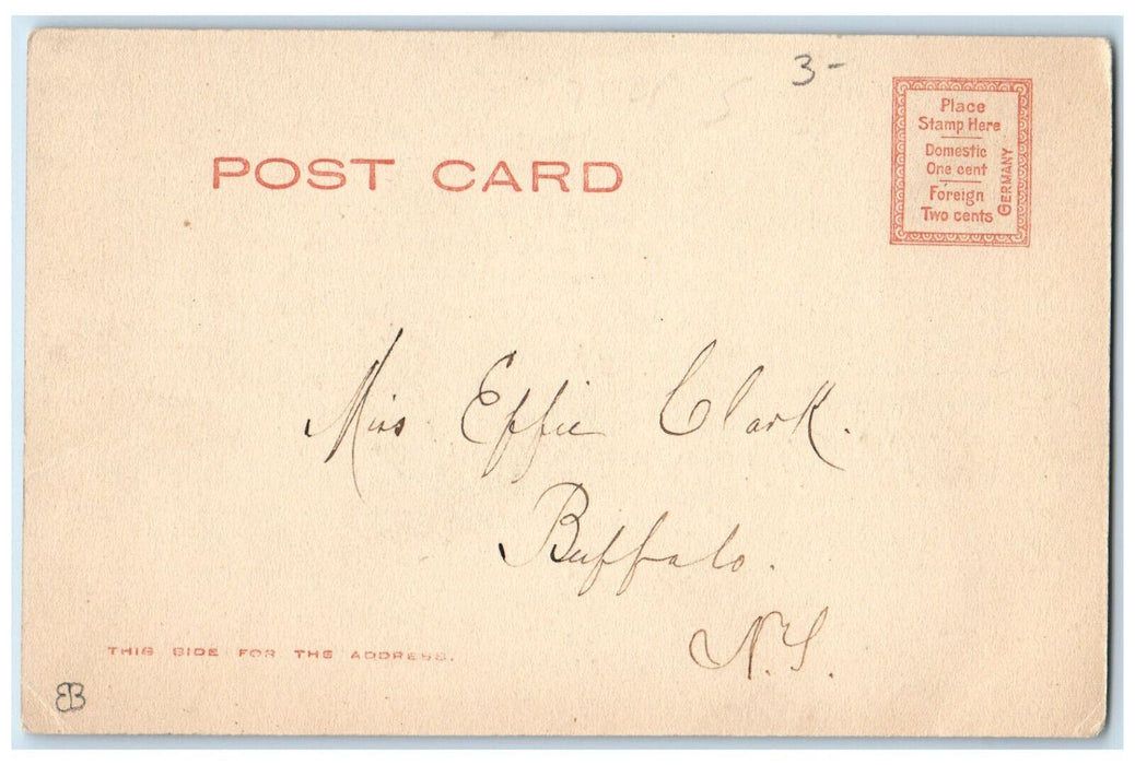 1903 Women's Union Building, Women's Christian Union Buffalo NY Postcard