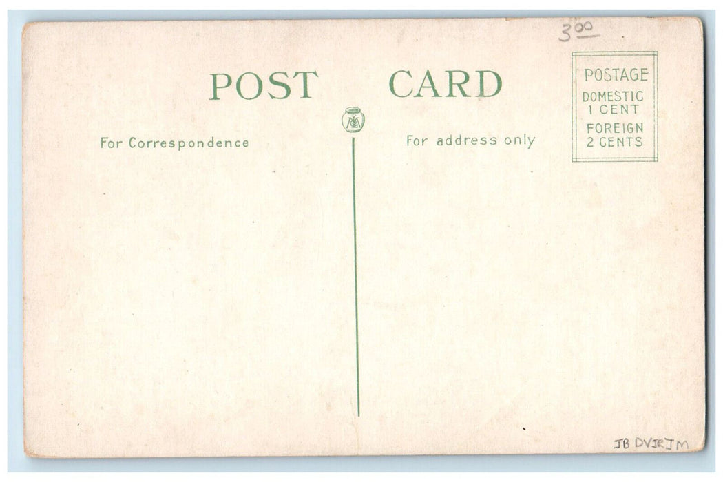 c1910 Deer Monument, Stairway to B.P.O.E. Home Buffalo New York NY Postcard