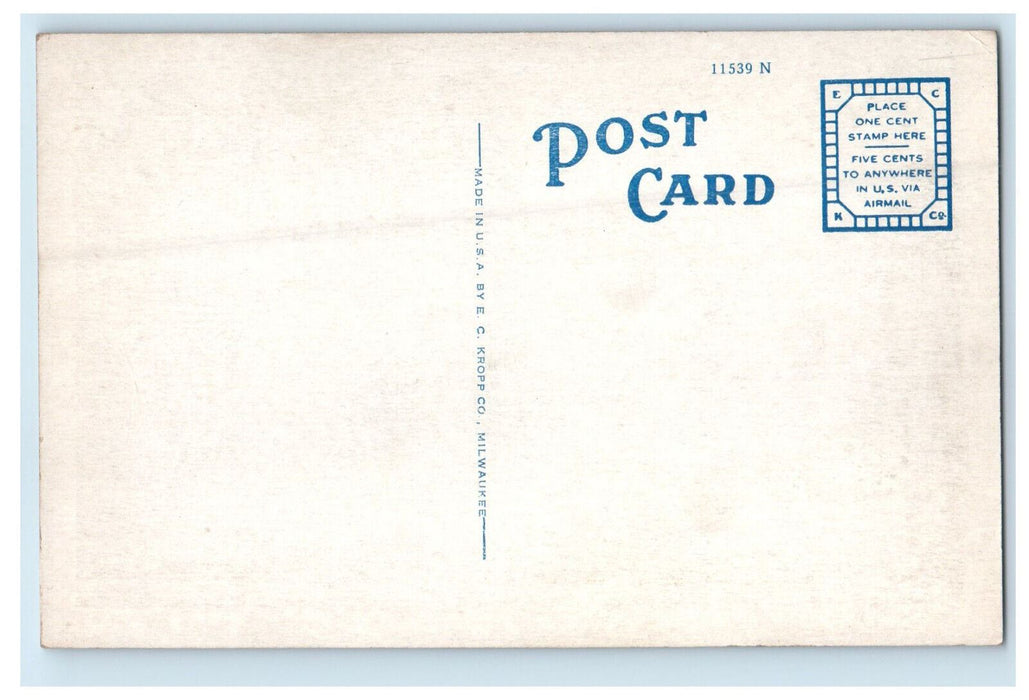 c1920s Memorial Library Collinsville Illinois IL Unposted Postcard
