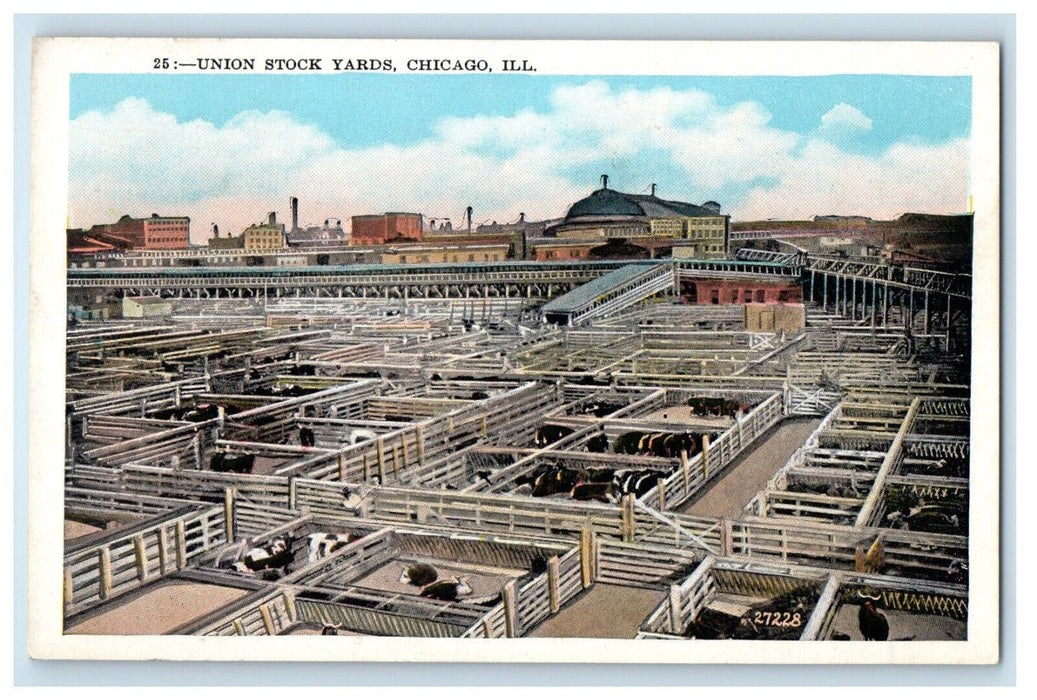 c1920s Union Stock Yards Chicago Illinois IL Unposted Gerson Bros. Postcard