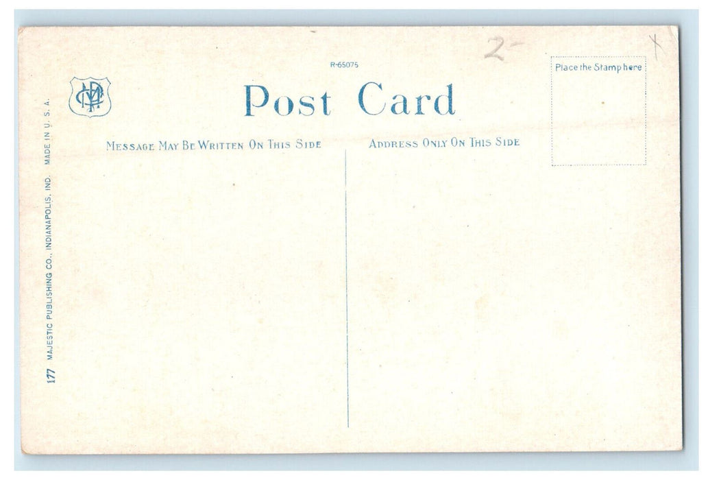 c1920 US Flag on Top, Hotel Lincoln Indianapolis Indiana IN Unposted Postcard