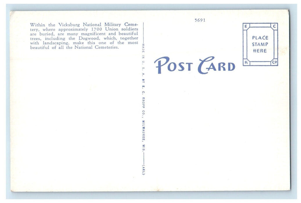 Vicksburg MS, Dogwood Tree In Bloom National Military Cemetery Vintage Postcard