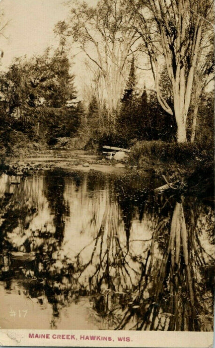 1909 Maine Creek Hawkins Wisconsin WI RPPC Photo Antique Postcard