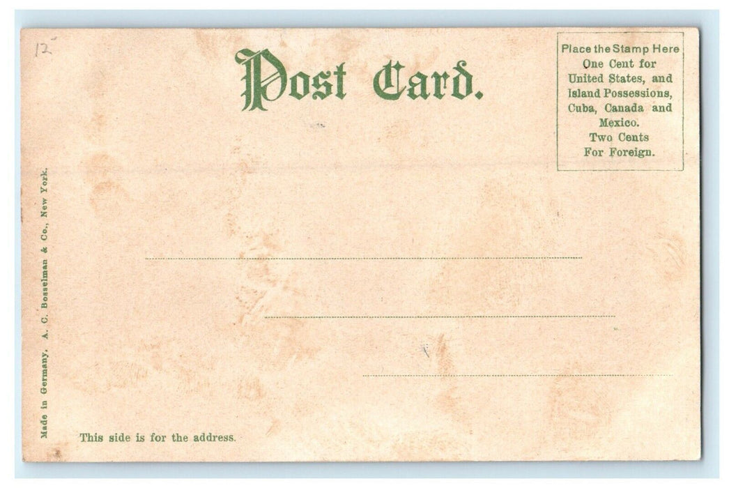 c1906 High Street, Holyoke, Massachusetts MA Unposted Postcard