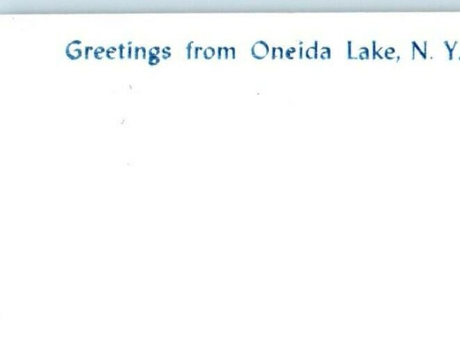 c1960's Greetings From Oneida New York NY Surf Bathing Postcard