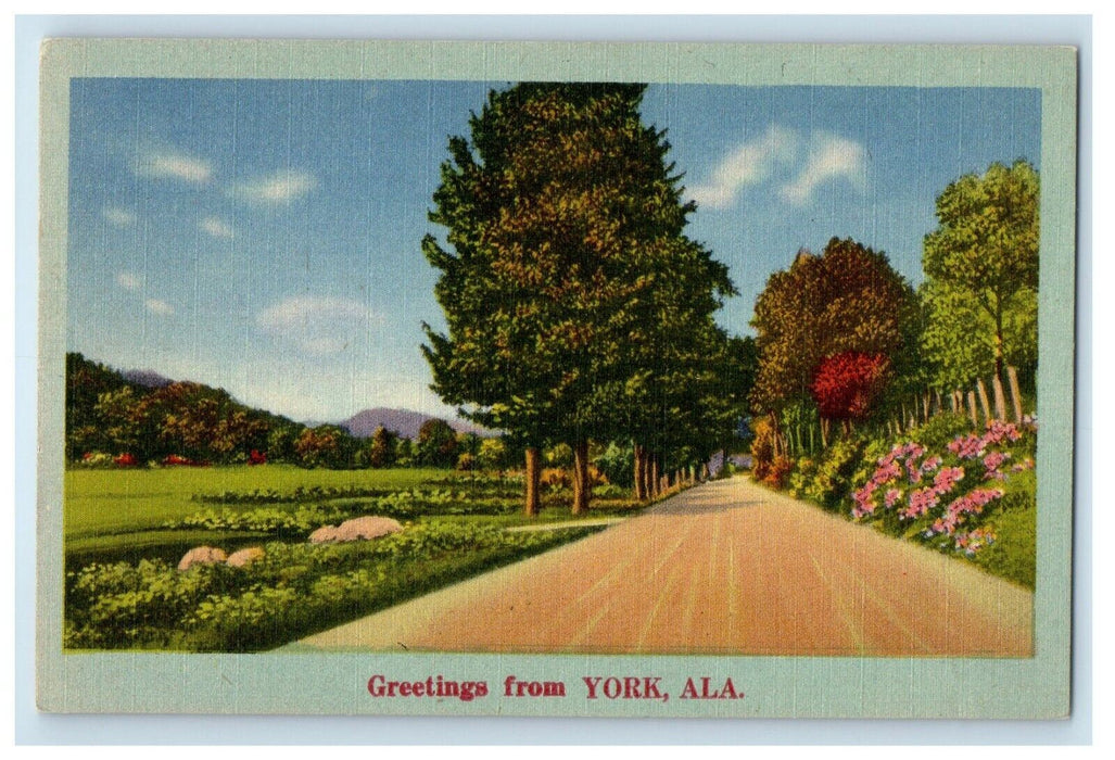 c1910's Greetings From York Alabama AL, Road View Unposted Antique Postcard