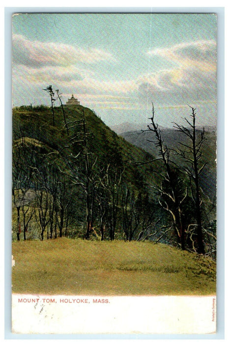 c1907 Grasses in Mount Tom, Holyoke, Massachusetts MA Antique Postcard