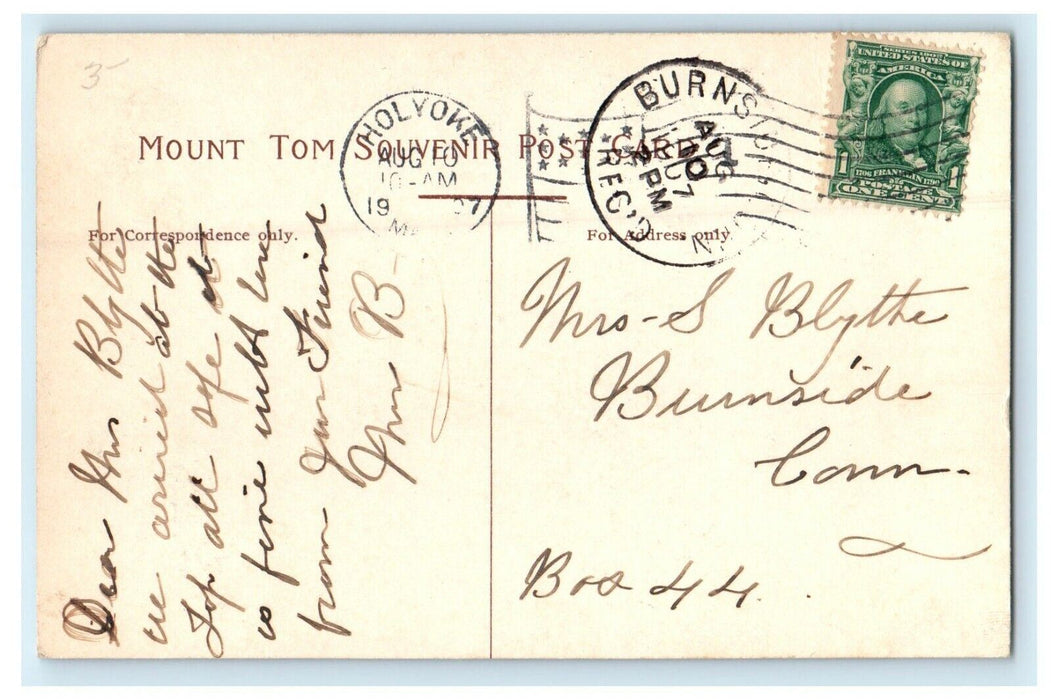 c1907 Grasses in Mount Tom, Holyoke, Massachusetts MA Antique Postcard