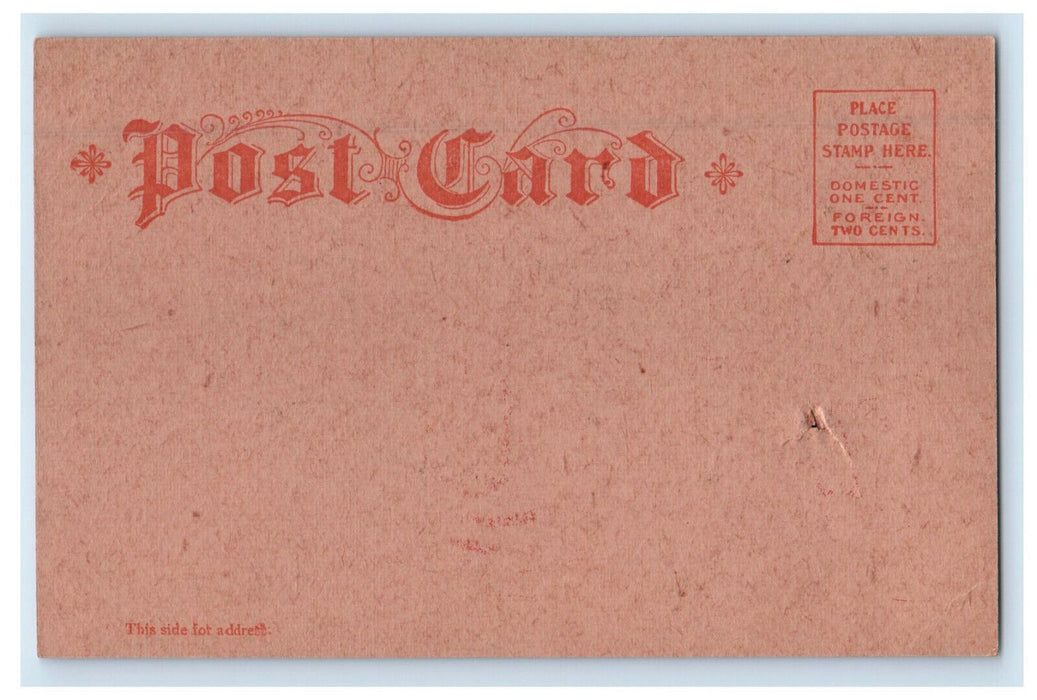 c1910 Cat, Holding a Baby Scene at Manitowoc Wisconsin WI Unposted Postcard