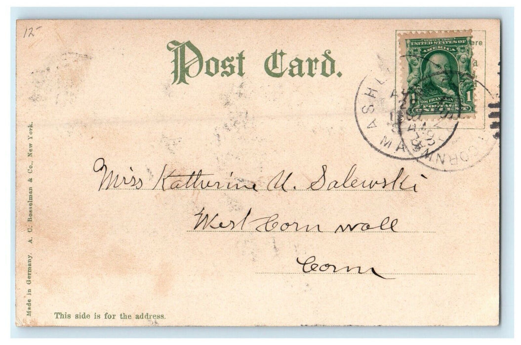 1907 Shadowbrook Inn Lenox Massachusetts MA Undivided Back Postcard