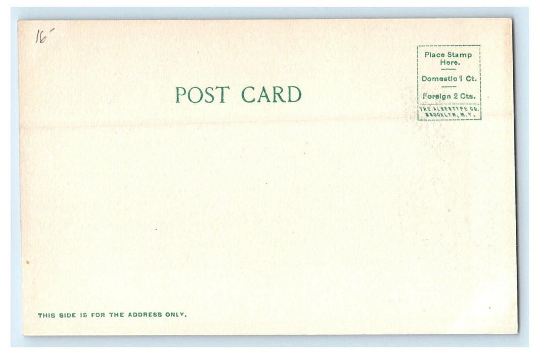c1905 The View Of Curtis Hotel Lenox Massachusetts MA Undivided Back Postcard